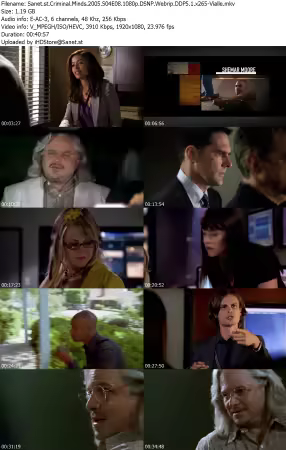 Criminal Minds 2005 S04E08 1080p DSNP Webrip DDP5 1 x265-Vialle