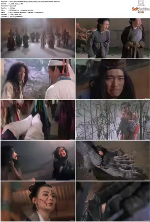 The Mad Monk 1993 BluRay 1080p x265 10bit 2Audio MNHD-FRDS