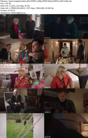 Agatha Raisin 2014 S03E01 1080p AMZN Webrip DDP2 0 x265-Vialle