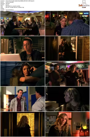 Veronica Mars S01-S04 1080p WEBRip 10Bit AAC2.0 HEVC-d3g