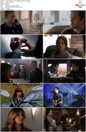 Nashville S03 1080p WEBRip 10Bit DDP5.1 HEVC-d3g