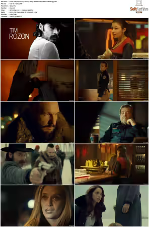 Wynonna Earp S01 1080p WEBRip 10Bit DDP2.0 HEVC-d3g