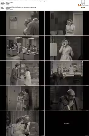 WandaVision S01 1080p BluRay 10Bit DDP5.1 H265-d3g