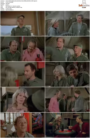 M.A.S.H. S01-S11 1080p WEBRip 10Bit DD2.0 HEVC-d3g