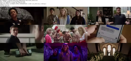Neighbors 2 Sorority Rising 2016 1080p BluRay HEVC-CreW