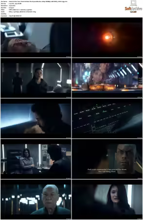 Star Trek Picard S01 1080p WEBRip 10Bit DDP5.1 HEVC-d3g