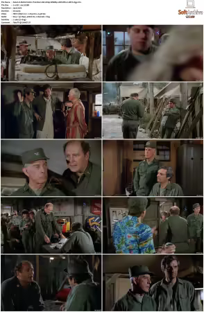 M.A.S.H S10 1080p WEBRip 10Bit DD2 0 HEVC-d3g