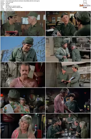 M.A.S.H. S01-S11 1080p WEBRip 10Bit DD2.0 HEVC-d3g