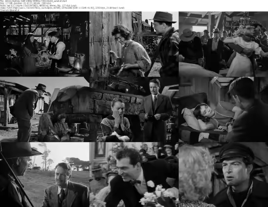 Johnny Belinda 1948 1080p WEBRip H264-World