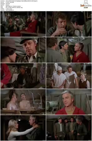MASH S01 S11 1080p WEBRip 10Bit DD2.0 HEVC-d3g