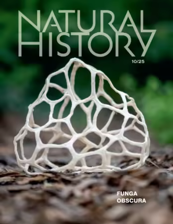 Natural History - October 2025