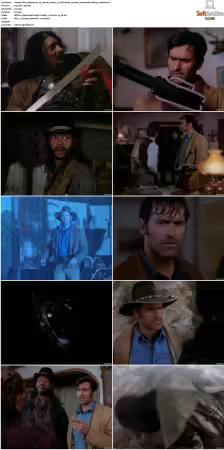 The Adventures Of Brisco County Jr. S01 DVDRip XviD-FoV