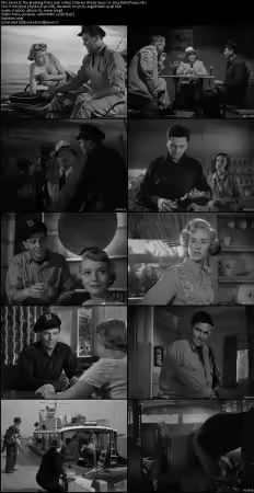 The Breaking Point 1950 1080p Criterion Bluray Opus 1.0 x264-RetroPeeps