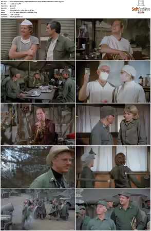 M.A.S.H. S01-S11 1080p WEBRip 10Bit DD2.0 HEVC-d3g