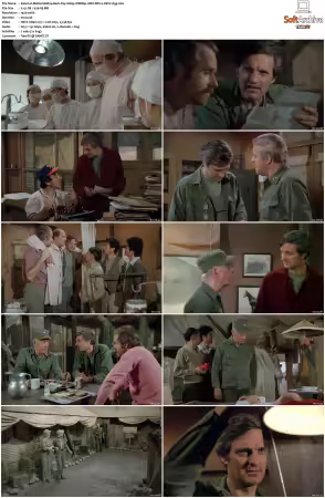 M.A.S.H. S01-S11 1080p WEBRip 10Bit DD2.0 HEVC-d3g