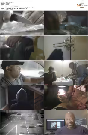Dope 2017 S02 1080p NF WEB-DL DDP5.1 H264-SPWEB