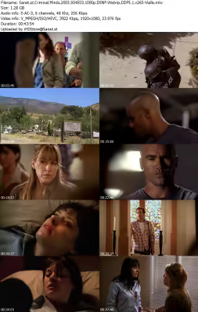 Criminal Minds 2005 S04E03 1080p DSNP Webrip DDP5 1 x265-Vialle