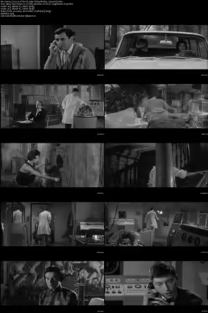 Curse of the Fly 1965 1080p BluRay x264-nikt0