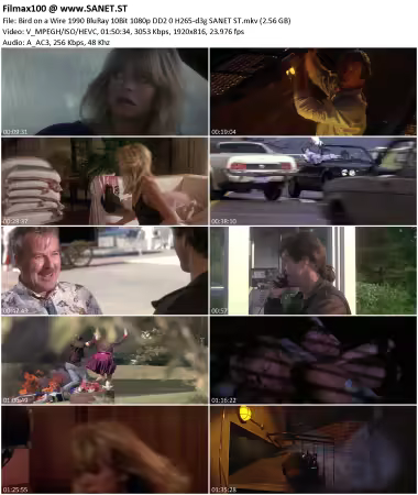 Bird on a Wire 1990 BluRay 10Bit 1080p DD2.0 H265-d3g