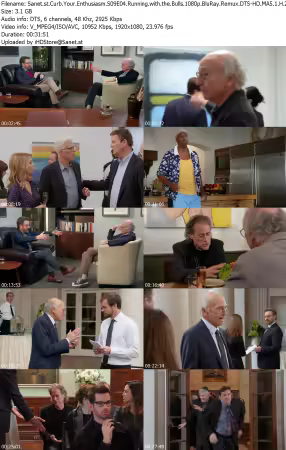 Curb Your Enthusiasm S09E04 Running with the Bulls 1080p BluRay Remux DTS-HD MA5 1 H 264-BTN