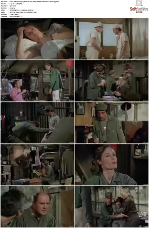 M.A.S.H. S01-S11 1080p WEBRip 10Bit DD2.0 HEVC-d3g