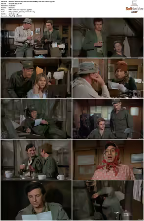 M.A.S.H. S01-S11 1080p WEBRip 10Bit DD2.0 HEVC-d3g