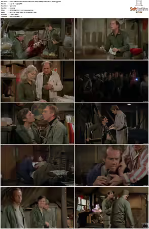 M.A.S.H. S01-S11 1080p WEBRip 10Bit DD2.0 HEVC-d3g