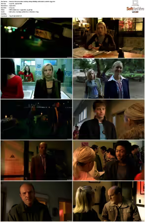 Veronica Mars S01 1080p WEBRip 10Bit AAC2 0 HEVC-d3g