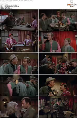 M.A.S.H. S01-S11 1080p WEBRip 10Bit DD2.0 HEVC-d3g