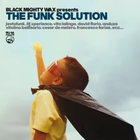 VA - The Funk Solution (2025)