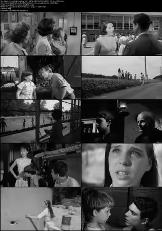 Ladybug Ladybug 1963 1080p AMZN WEB-DL DDP 2.0 H264-GPRS