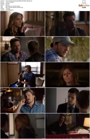 Nashville S04 1080p WEBRip 10Bit DDP5.1 HEVC-d3g