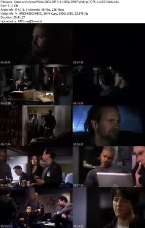 Criminal Minds 2005 S05E11 1080p DSNP Webrip DDP5 1 x265-Vialle