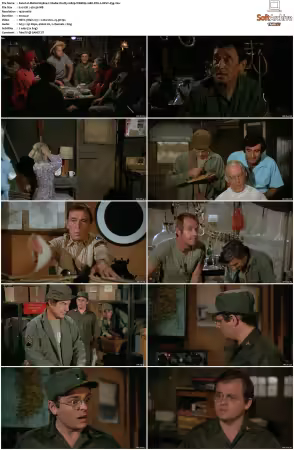M.A.S.H. S01-S11 1080p WEBRip 10Bit DD2.0 HEVC-d3g