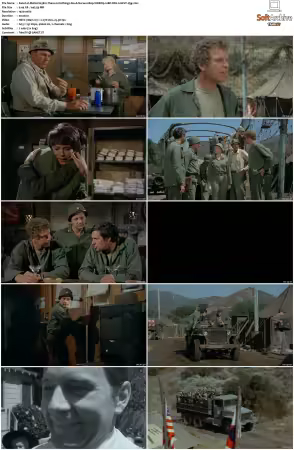 M.A.S.H. S01-S11 1080p WEBRip 10Bit DD2.0 HEVC-d3g