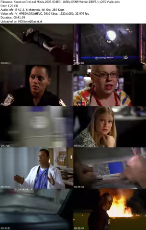 Criminal Minds 2005 S04E01 1080p DSNP Webrip DDP5 1 x265-Vialle