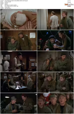 M.A.S.H. S01-S11 1080p WEBRip 10Bit DD2.0 HEVC-d3g