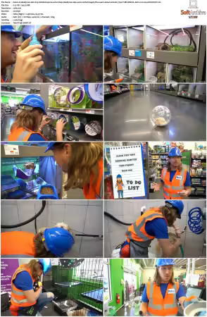 Handyman Hal 2023 S01 S03 720p TUBI WEB-DL AAC2 0 H264-NOGROUP