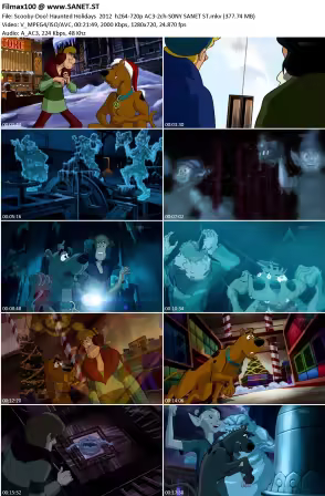 Scooby-Doo! Haunted Holidays 2012 h264-720p AC3-2ch-S0NY