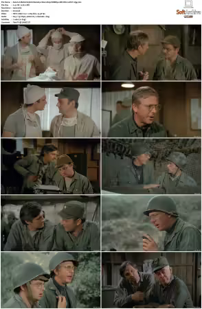 M.A.S.H. S01-S11 1080p WEBRip 10Bit DD2.0 HEVC-d3g