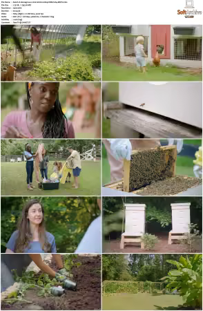 Homegrown 2020 S02 1080p WEB h264-EDITH