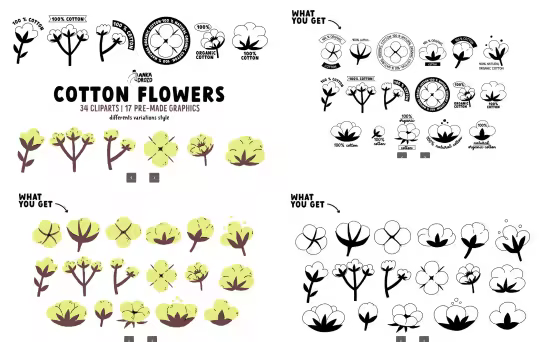 EE - Cotton Flower 8QS6TWZ
