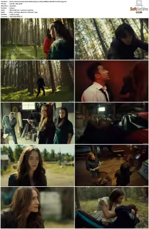Wynonna Earp S04 1080p WEBRip 10Bit DDP2.0 HEVC-d3g