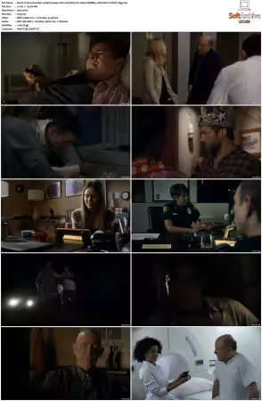 Veronica Mars S04 1080p WEBRip 10Bit AAC2.0 HEVC-d3g