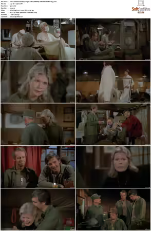M.A.S.H. S01-S11 1080p WEBRip 10Bit DD2.0 HEVC-d3g