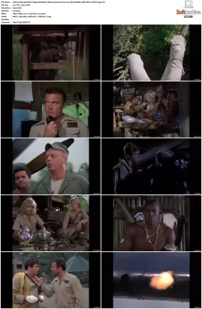 Black Sheep Squadron aka Baa Baa Black Sheep S02 1080p BluRay 10Bit DDP2 0 HEVC-d3g