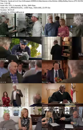 Curb Your Enthusiasm S09E03 A Disturbance in the Kitchen 1080p BluRay Remux DTS-HD MA5 1 H 264-BTN