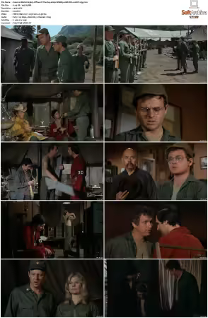 M.A.S.H. S01-S11 1080p WEBRip 10Bit DD2.0 HEVC-d3g