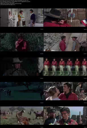 Texas Across the River 1966 1080p BluRay x264-OFT