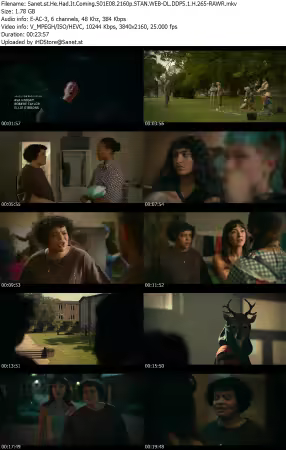 He Had It Coming S01E08 2160p STAN WEB-DL DDP5 1 H 265-RAWR